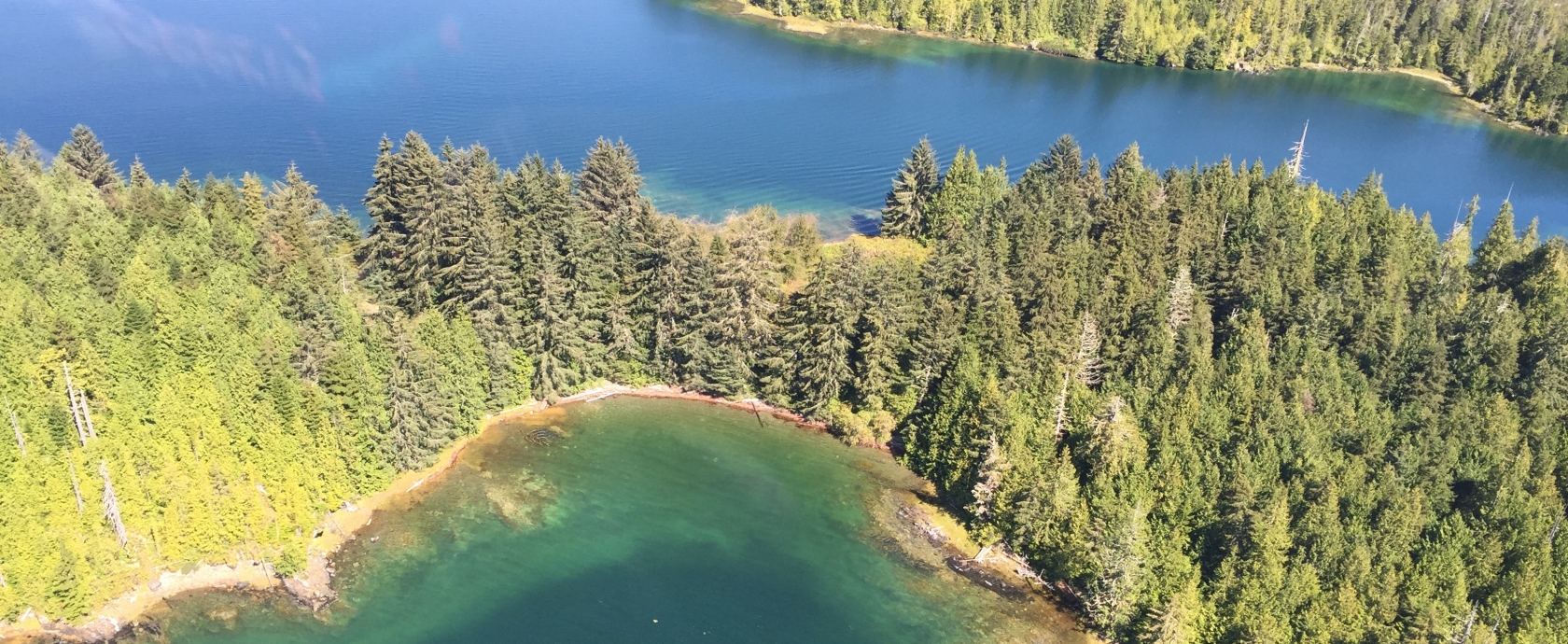 Guest Form - North King Lodge